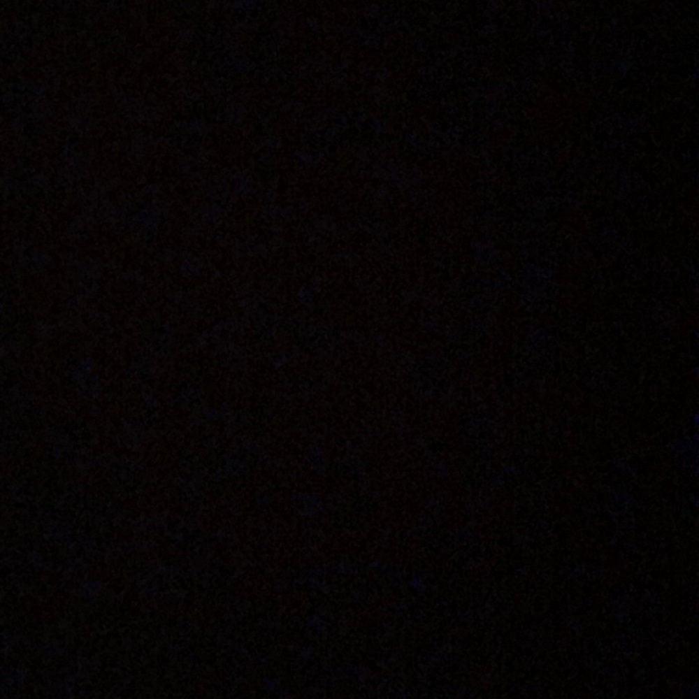 Meet your Posher, Gianna